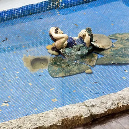 Oda ve Kahvaltı Feel At